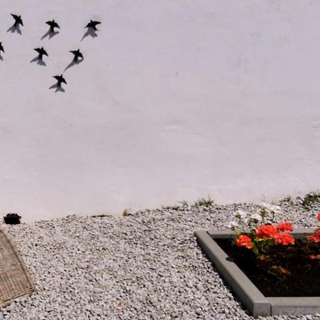 Willa Casa Dos Vizinhos - Casas De Taipa São Pedro do Corval Zewnętrze zdjęcie