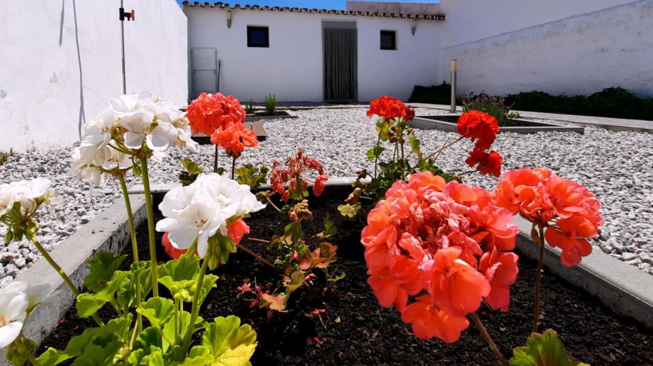 Willa Casa Dos Vizinhos - Casas De Taipa São Pedro do Corval Zewnętrze zdjęcie